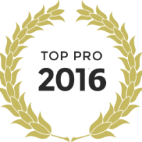Logo top pro 2016 bis 4